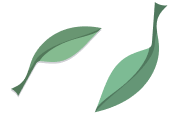 two_green_leaf
